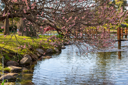 Buenos Aires Argentina. 07.27.2015. The Japanese Garden is an Argentine garden located in Parque Tres de Febrero in the neighborhood of Palermo  city of Buenos Aires