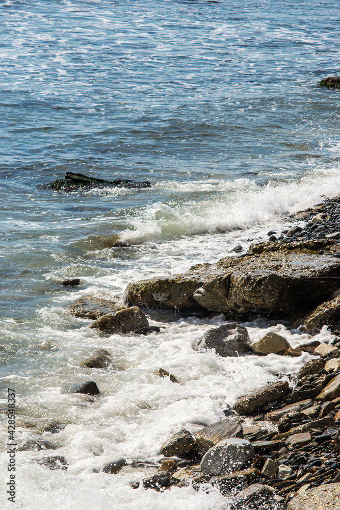 Fototapeta premium waves on the beach