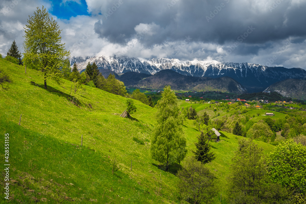 Summer landscape with snowy mountains and Pestera village, Transylvania, Romania