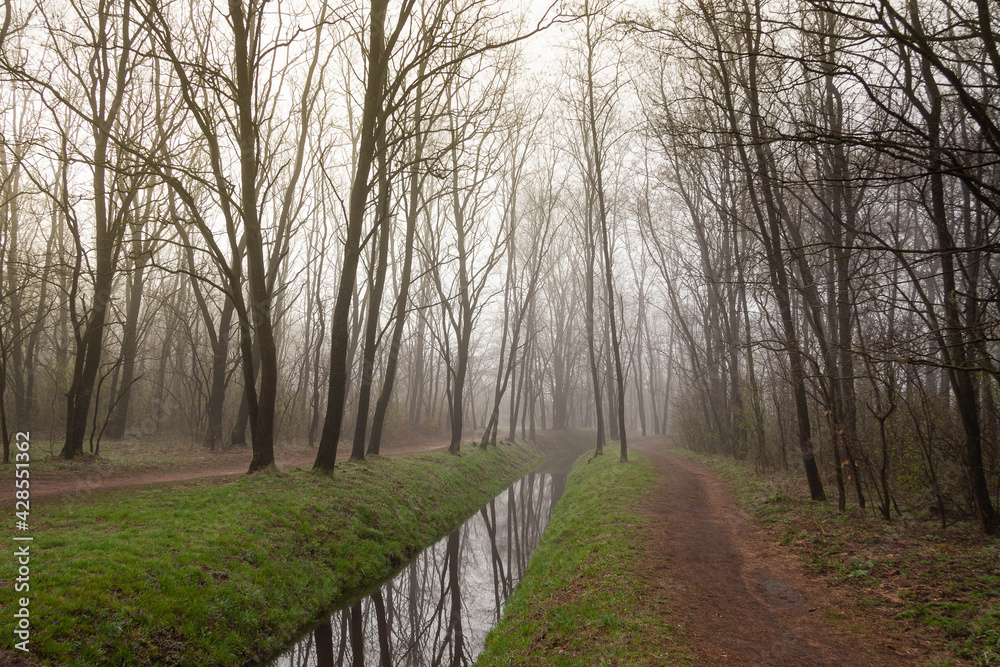 Poranek nad rzeką