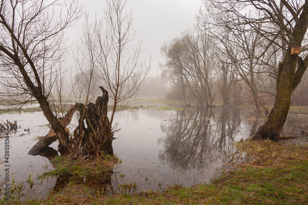 Poranek nad rzeką