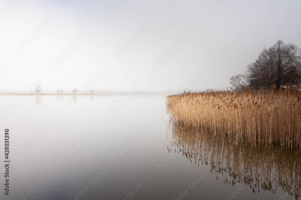 Mglisty poranek nad jeziorem