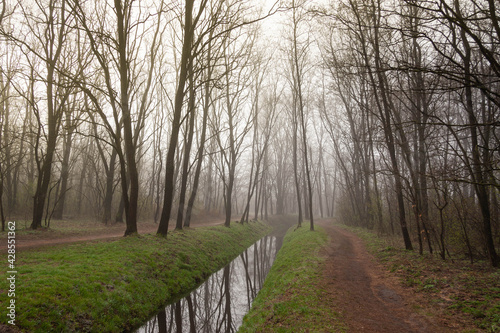 Obraz na płótnie Poranek nad rzeką w salonie