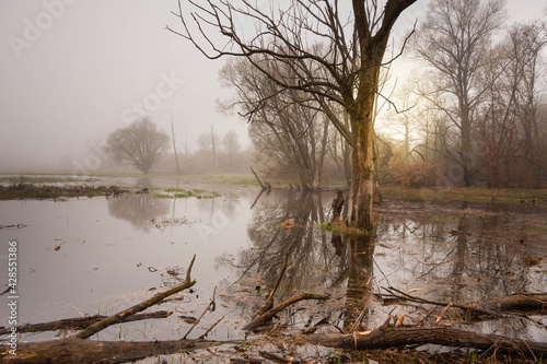 Poranek nad rzeką