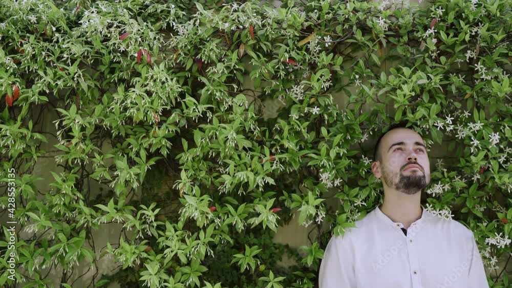 Slow motion shot of young man in front of a wall with climbing plants Slow motion shot of young man in front of a wall with climbing plants