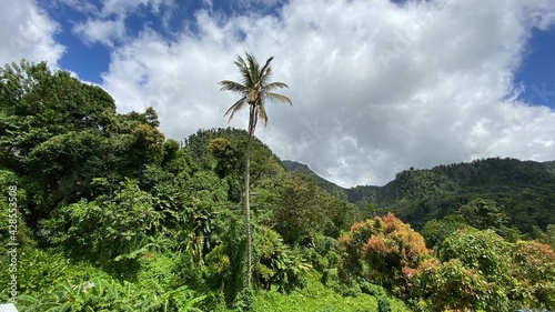 Karibik Insel Dominica