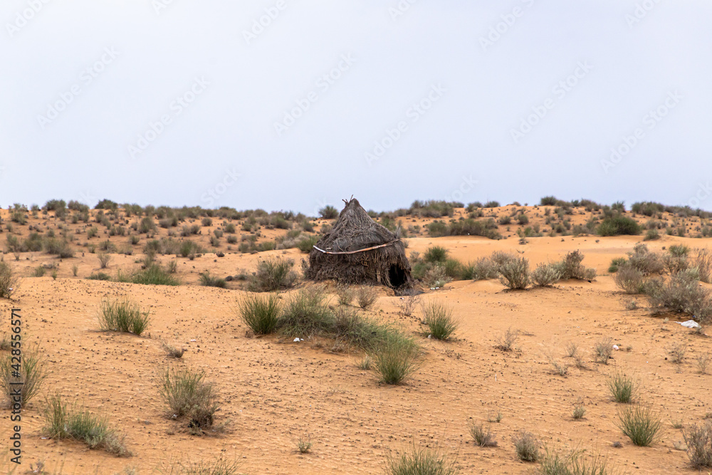 beautiful landscape of thar desert in rajasthan, india.