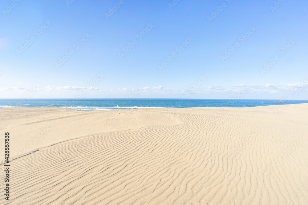 砂丘と日本海 (日本 - 鳥取 - 鳥取砂丘)