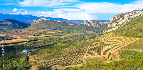 Aerial view from Grapes and Vineyards in the beautiful countryside of Patrimonio, Tourism and vacations concept. Corsica, France