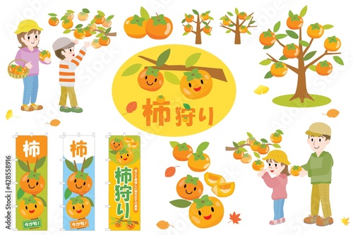 柿狩りのセットイラスト