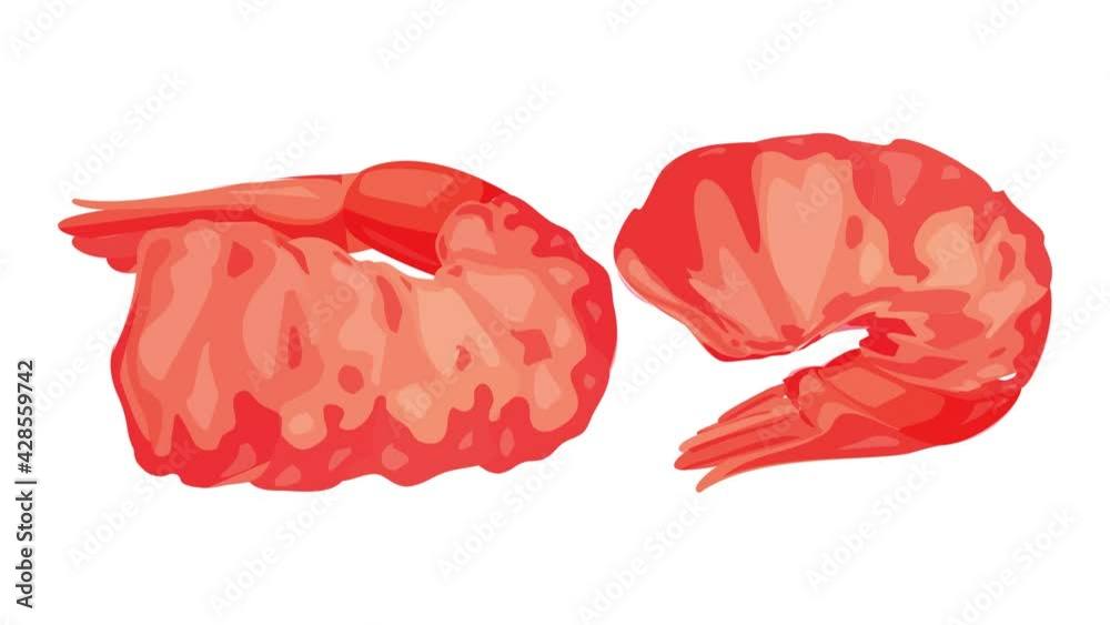 Burger shrimp icon animation Burger shrimp icon animation
