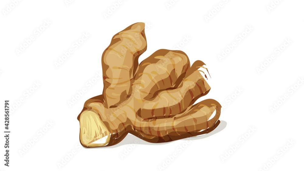 Ginger vegetable icon animation Ginger vegetable icon animation
