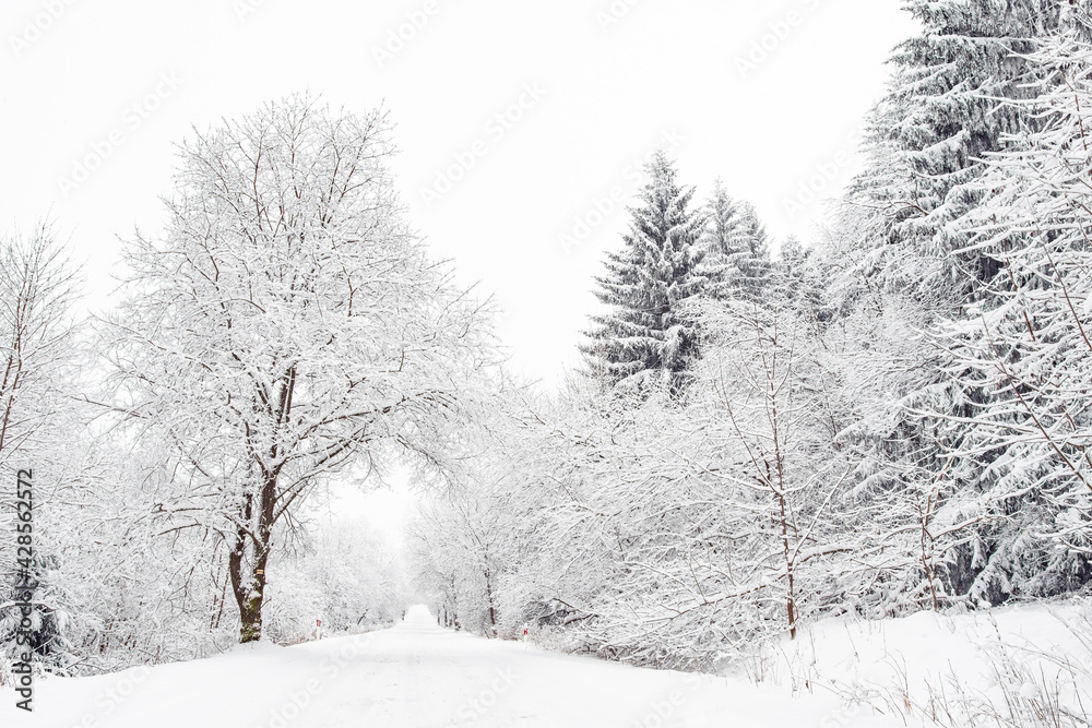 Winter landscape with snow-covered trees on the mountain road. Sudetes covered with white snow. Winter landscape with snow-covered trees on the mountain road. Sudetes covered with white snow.