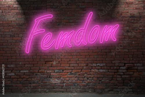 Neon BDSM Femdom lettering on Brick Wall at night