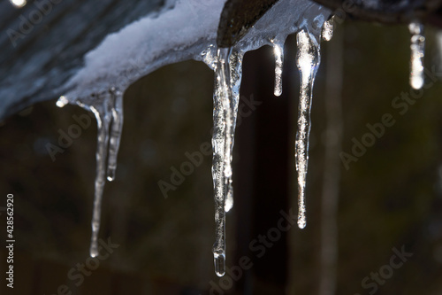 Icicles hanging from a roof, close-up. Winter weather © Gecko Studio
