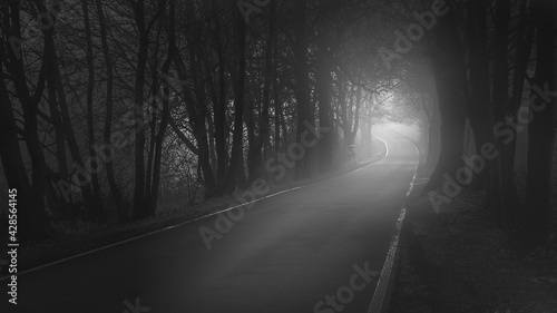 A dark road to hope. © Marek
