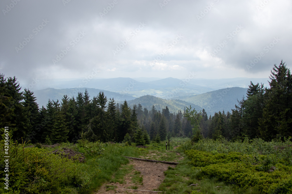Obraz premium landscape with clouds