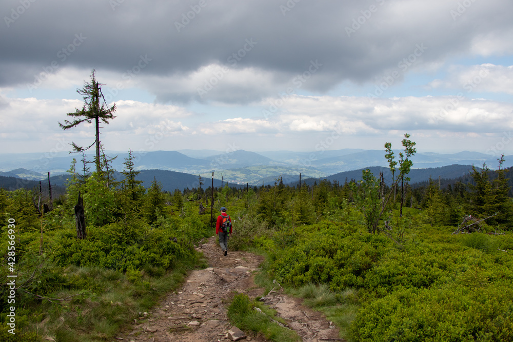 Obraz premium hiking in the mountains