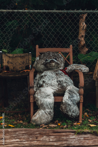 Teddy in a garden chair