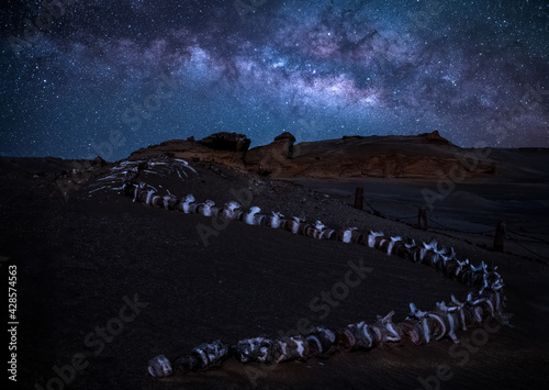 Remains of a dead whale in the desert of Wadi El Hitan in Fayoum, 40 million years ago under the galaxy photo