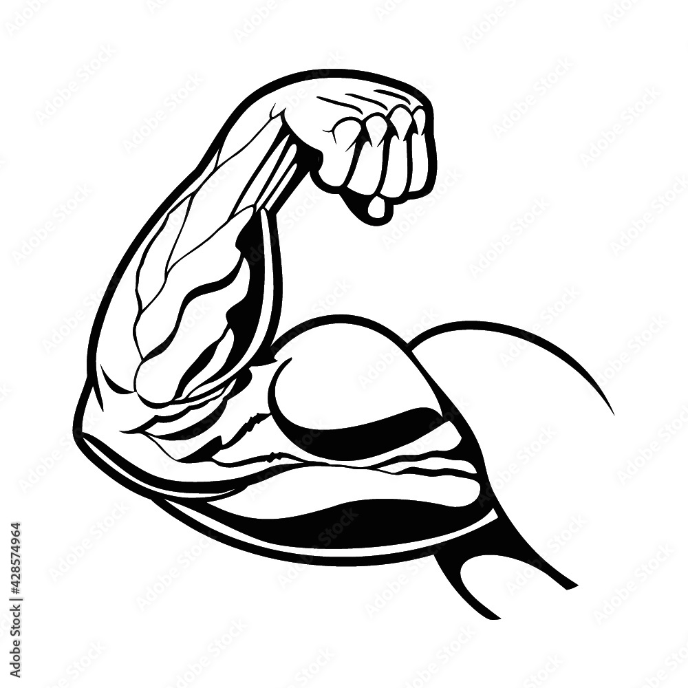 Vector flexed bicep illustration Vector flexed bicep illustration