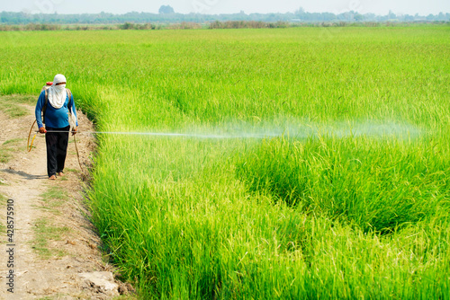 Fotografie farmer spraying pesticide and eliminate weeds