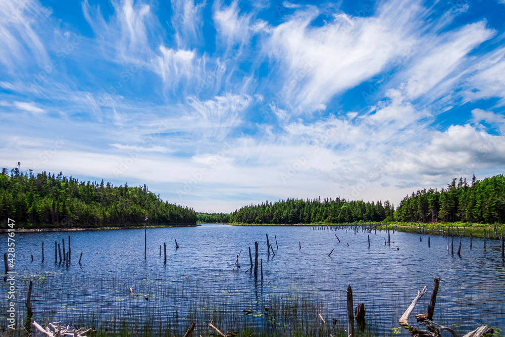 Beautiful pond with wispy clouds above Beautiful pond with wispy clouds above