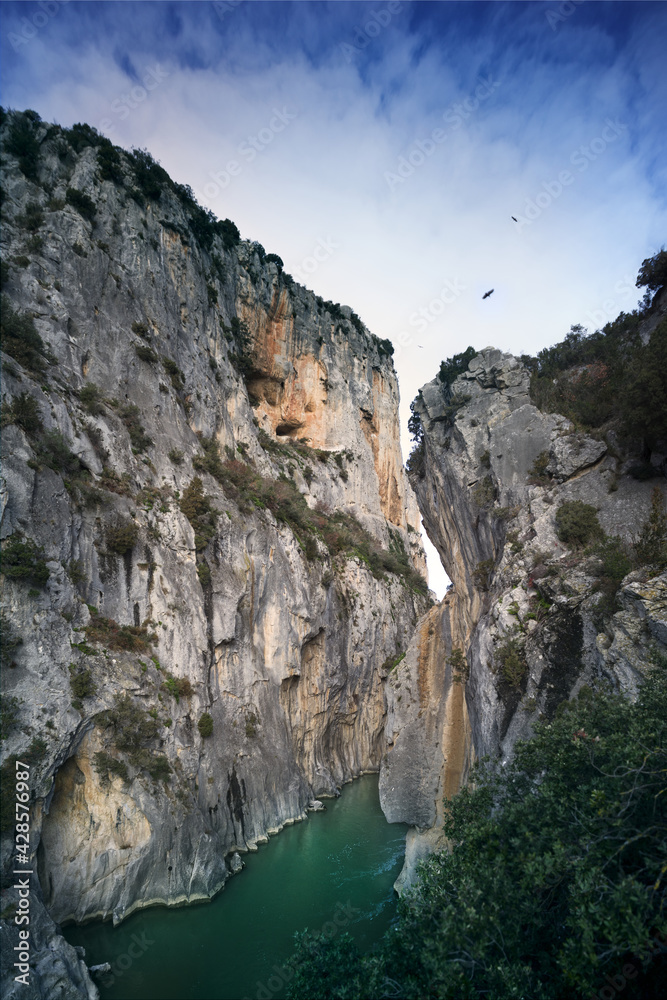 Fototapeta premium Paso del diablo, foz de lumbier navarra (spain)
