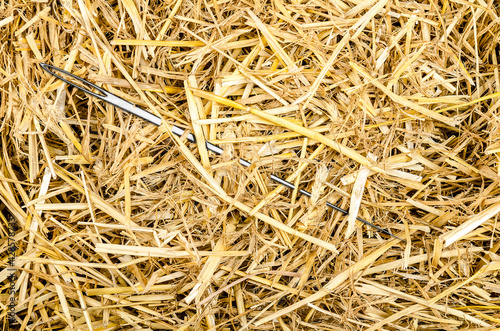Photography a needle in a haystack