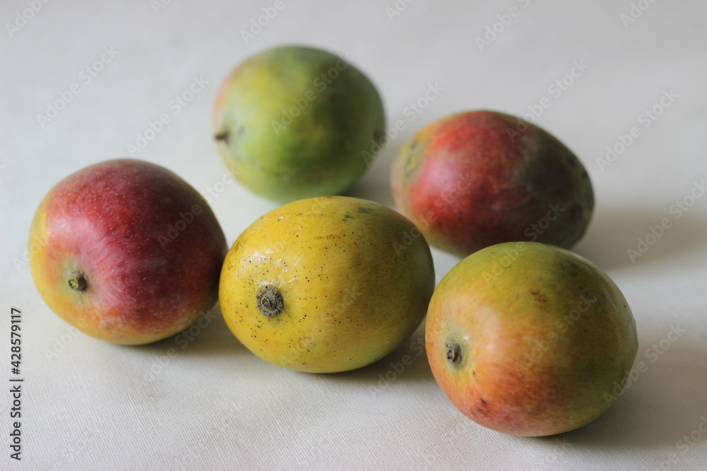 Colourful ripe Indian mango called Lalbagh mango Colourful ripe Indian mango called Lalbagh mango