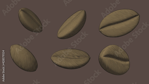 Color engraving coffee bean vector illustration set on brown BG