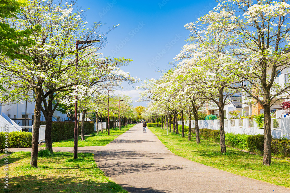 閑静な住宅街