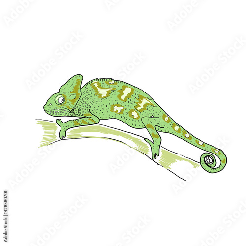 Chameleon animals exotic hand drawn coloring game maze for kids with lettering and alphabet print book