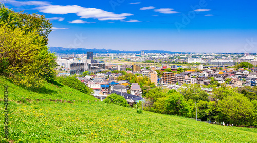 青空が広がる郊外の住宅地