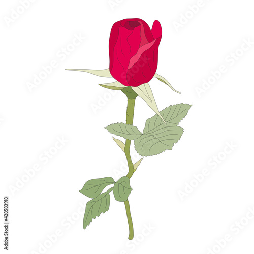 Red rose on stem, unopened bud, green leaves. Hand-drawn vector, flat style, black outline. Love and beauty. Beautiful flower for congratulations, wedding invitations, Valentine Day,  roses holiday.