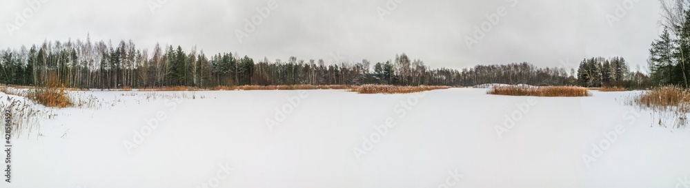 Frozen lake panorama
