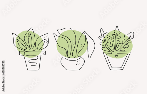 Indoor plants in pots. A set drawn with one line. Line art style. Colored spots green. Vector graphics isolated background.
