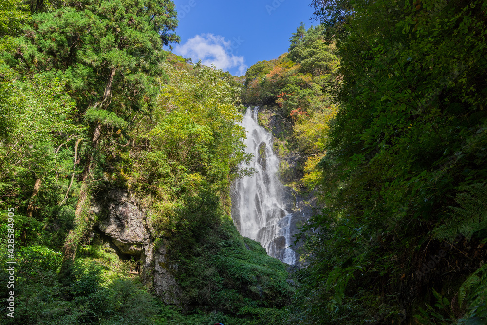 西日本最大級の名瀑 (日本 - 岡山 - 神庭の滝)