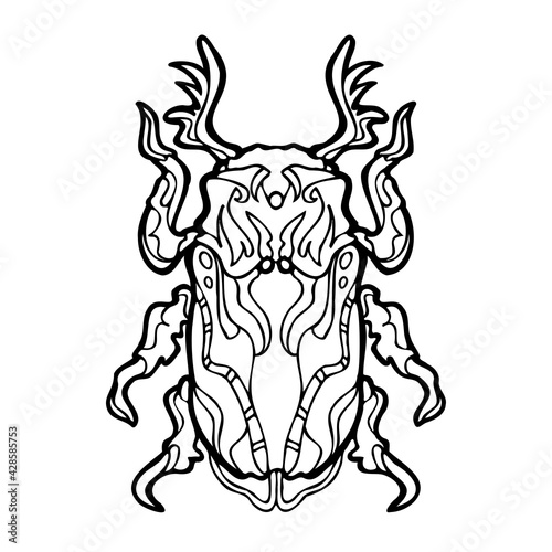 outline style isolated on white background with insect Beetle. Vector illustration  doodle   abstraction  coloring page.