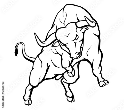 Bull Rage Line Art, Front View