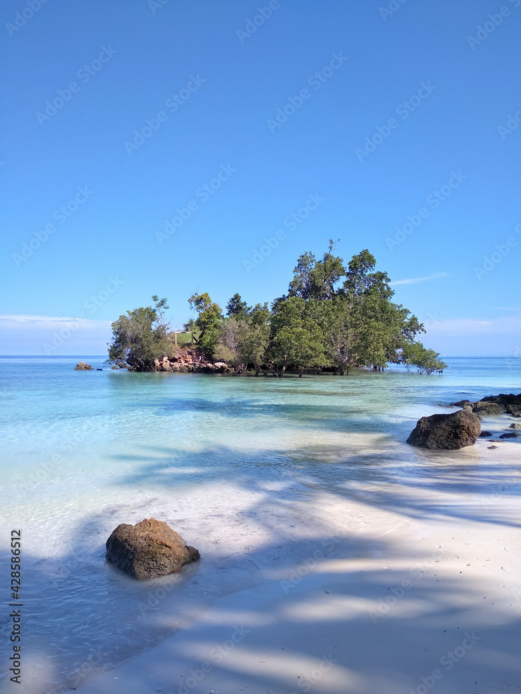 Fototapeta premium beach