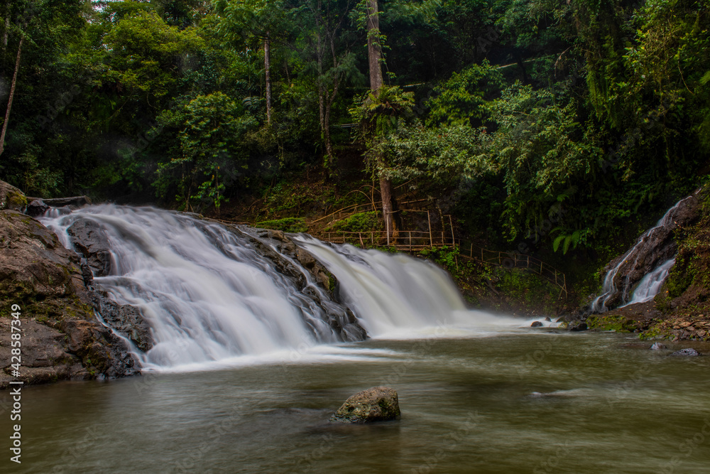 waterfall in the woods