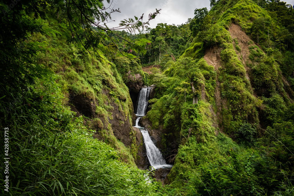 waterfall in the forest