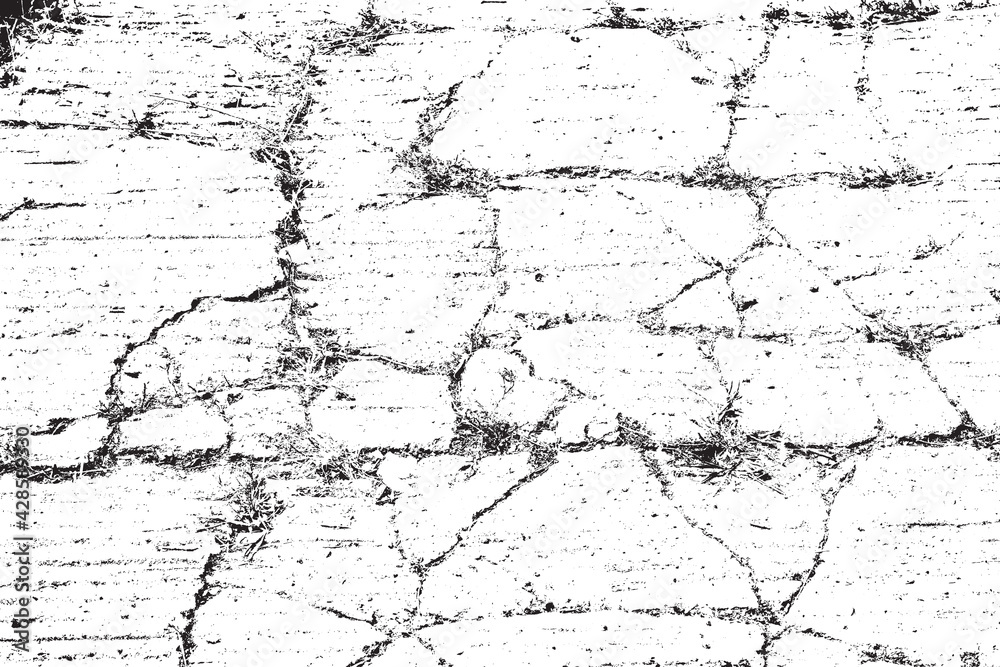 Fototapeta premium Distress Overlay Texture