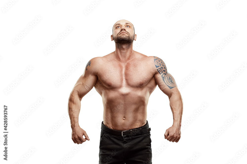 Male bodybuilder isolated on white background. Fitness workout concept, muscle groups, watch your body. Male bodybuilder isolated on white background. Fitness workout concept, muscle groups, watch your body.