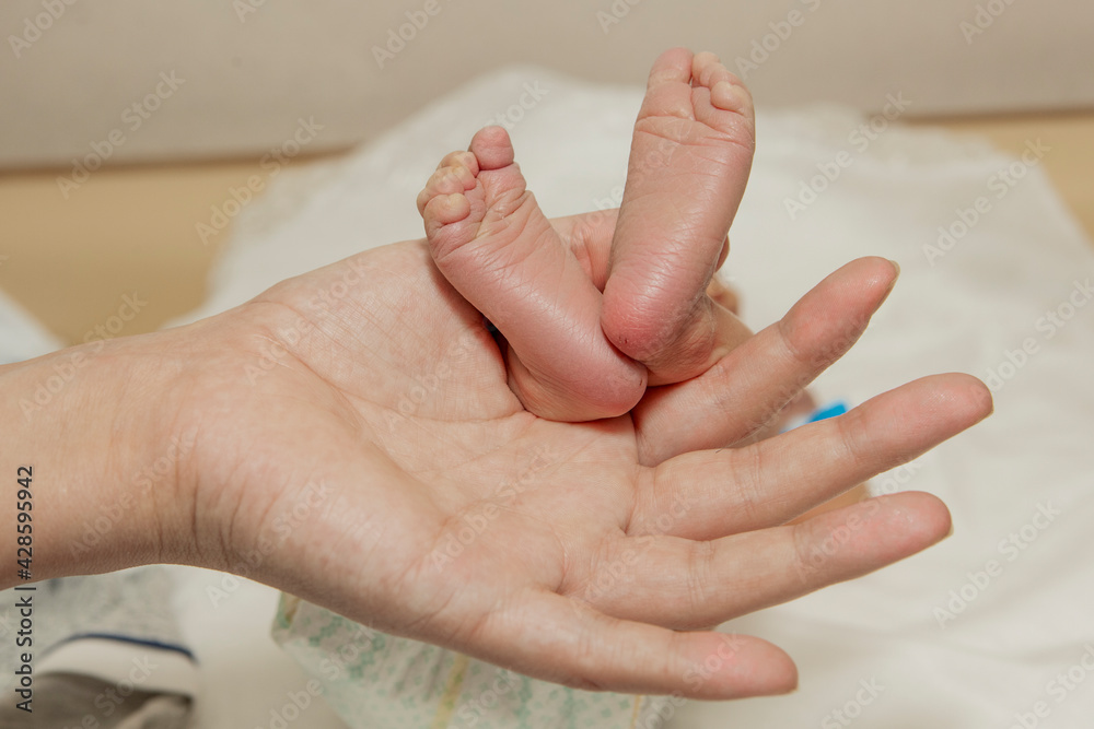 Fototapeta premium mom keeps the baby's feet, heels pressed together, fingers clenched.