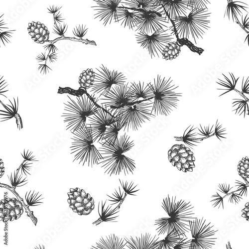 Pine branch seamless pattern on white background, cone, needles. Christmas tree vector