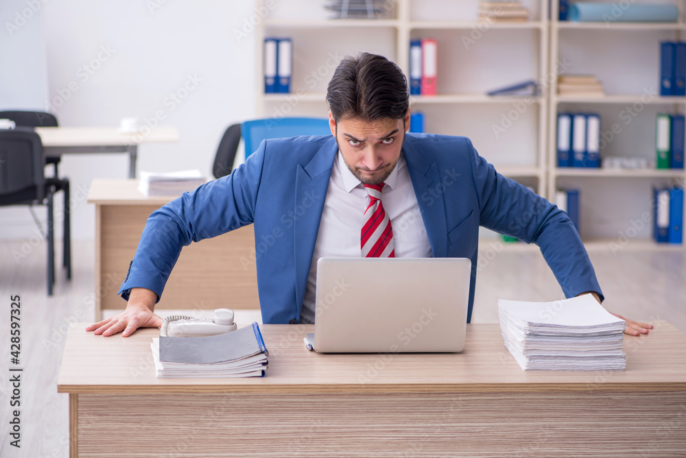 Young attractive employee working in the office Young attractive employee working in the office