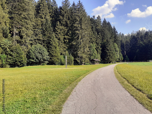 Forest park Golubinjak in Gorski kotar, Croatia