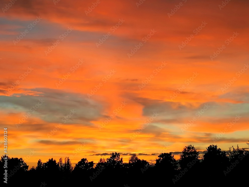 Sunset silhouette - orange red clouds in the sky over tree tops 